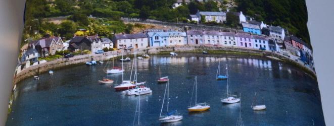 The Fishguard Collection